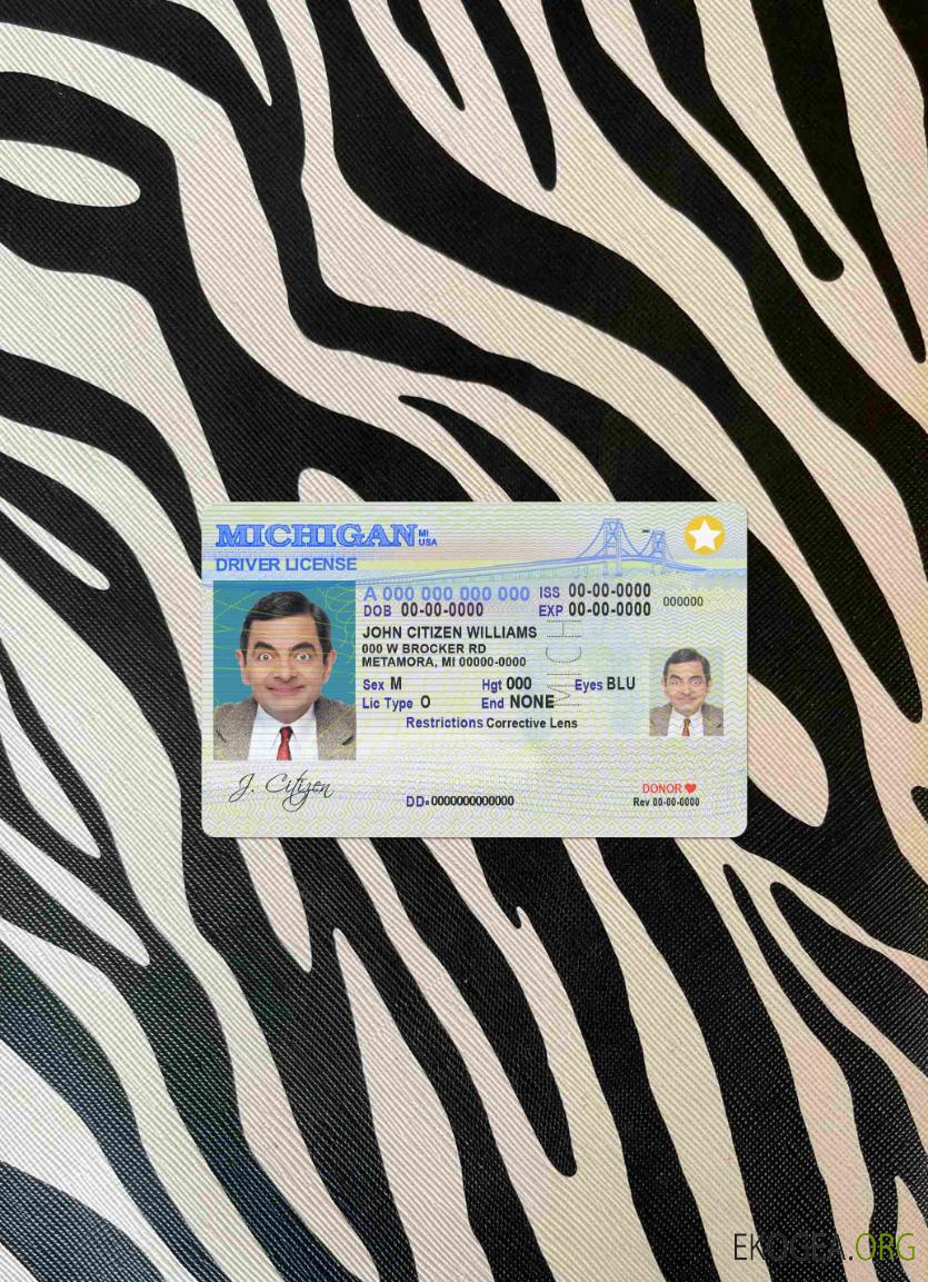 USA Michigan DL photolook AVANT